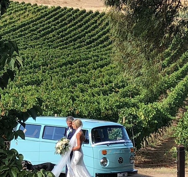 Anderson Hill Cellar Door & The Vine Restaurant-1301327